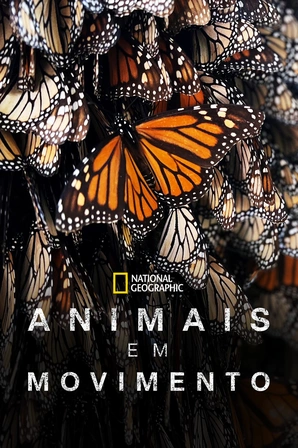 As Mais Incríveis Viagens de Animais